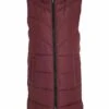 Noisy May Nmdalcon - Bodywarmer - Burgundy 2 Noisy May Nmdalcon - Bodywarmer - Burgundy -Noisy May d09f3d29b57d48479780d185a4a54722
